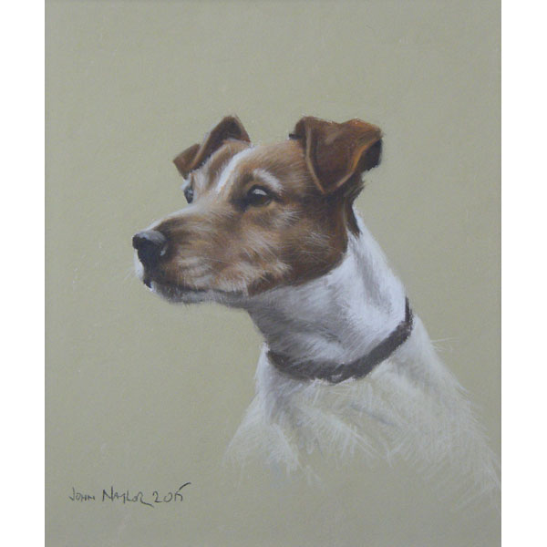 Jack Russell - Pastel